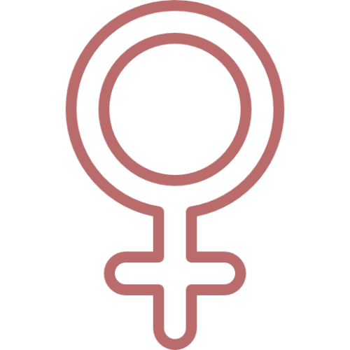 Tratamento para Menopausa